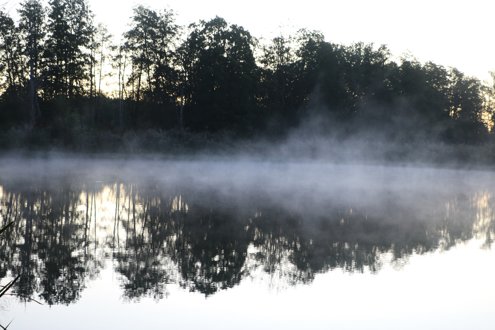 Morgennebel am Mahlweiher